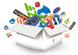 SOFTWARE SERVICE PROVIDER